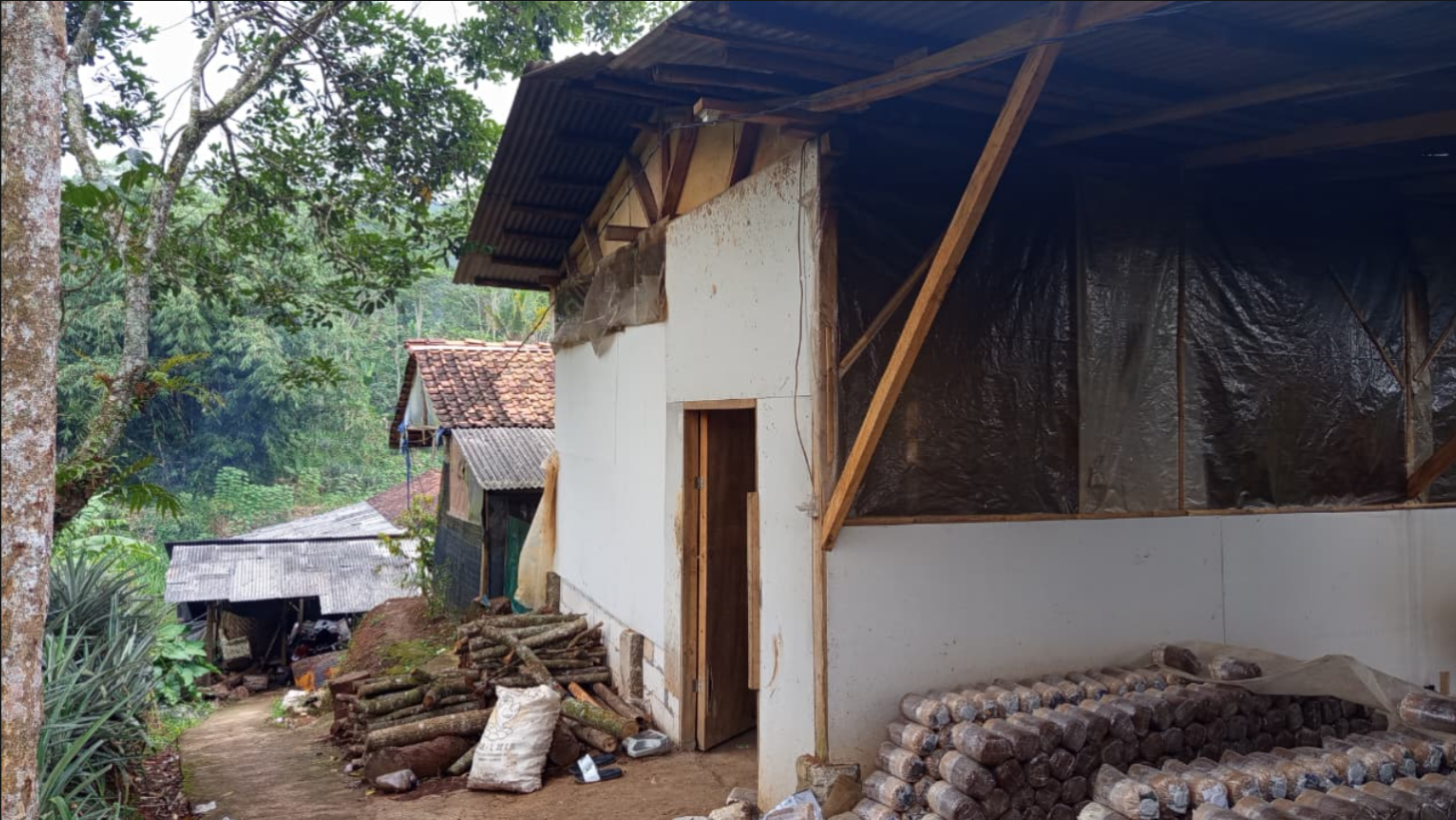Kumbung Jamur